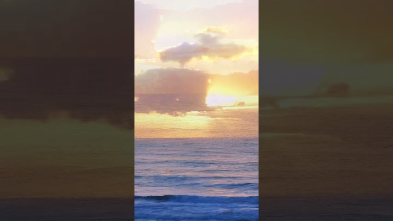 Wishing you all a peaceful and joyful Sunday. ❤️ 