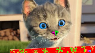 Little Kitten Adventure For Kids And Toddlers - The Great Journey Of A Little Kitty