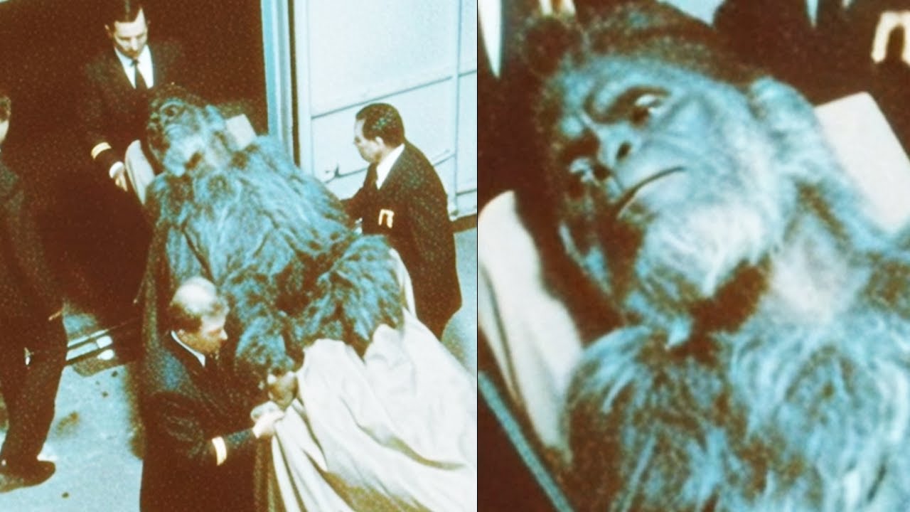 Government Agents Hiding Away Bigfoot on Camera Before Worst Happens - Sasquatch Story
