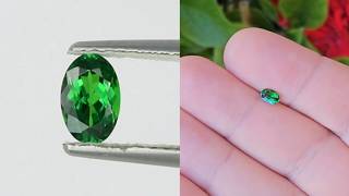 Oval cut Tsavorite - 0.59 carats