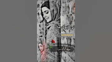 تی گنوک ما شائر آھوگ گل گشنده ماجد مستاگ 