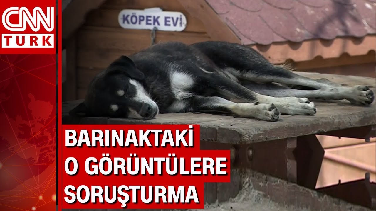 Evrenin Sonu Ne Olacak?