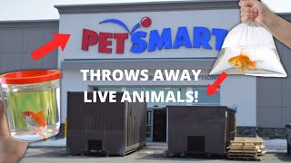 HOW I WENT VIRAL ON TIKTOK SAVING LIVE ANIMALS WHILE DUMPSTER DIVING!!!
