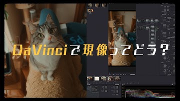 DaVinci Resolveで写真を現像するメリット・デメリット【Lightroom,Capture Oneよりおすすめ】