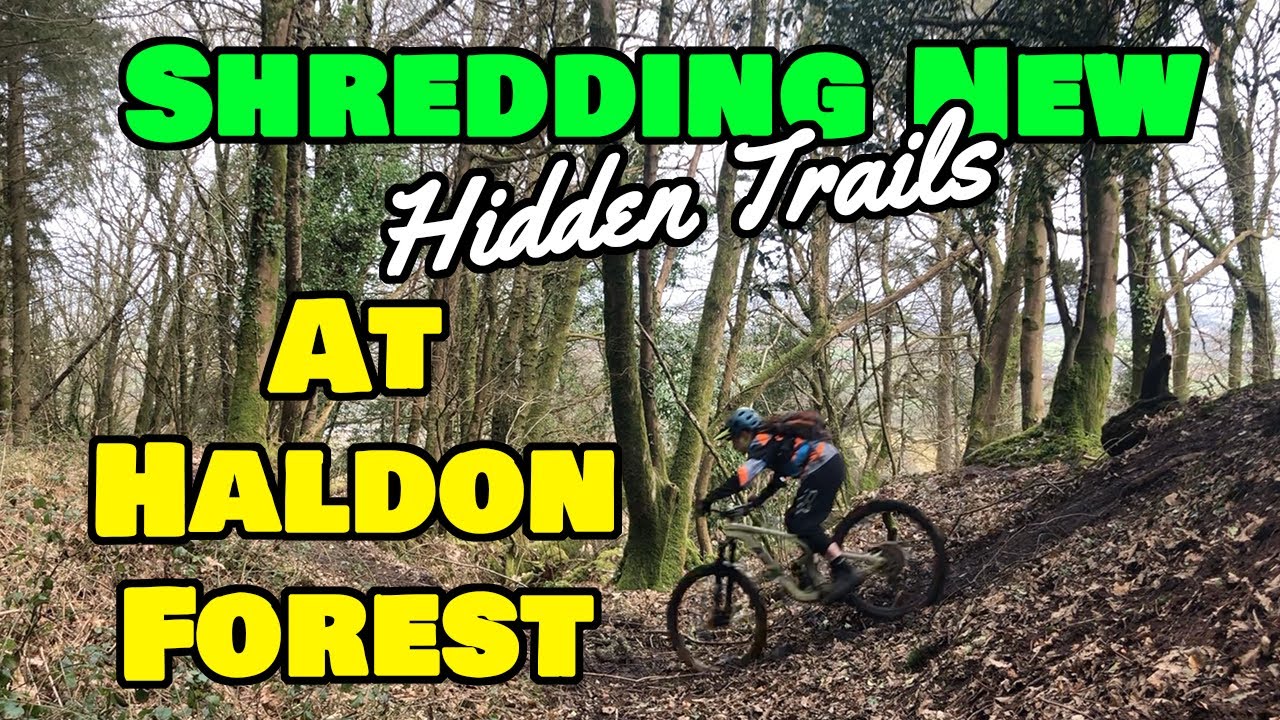 Maple Lake East Mountain Bike bet.yonsei.ac.kr