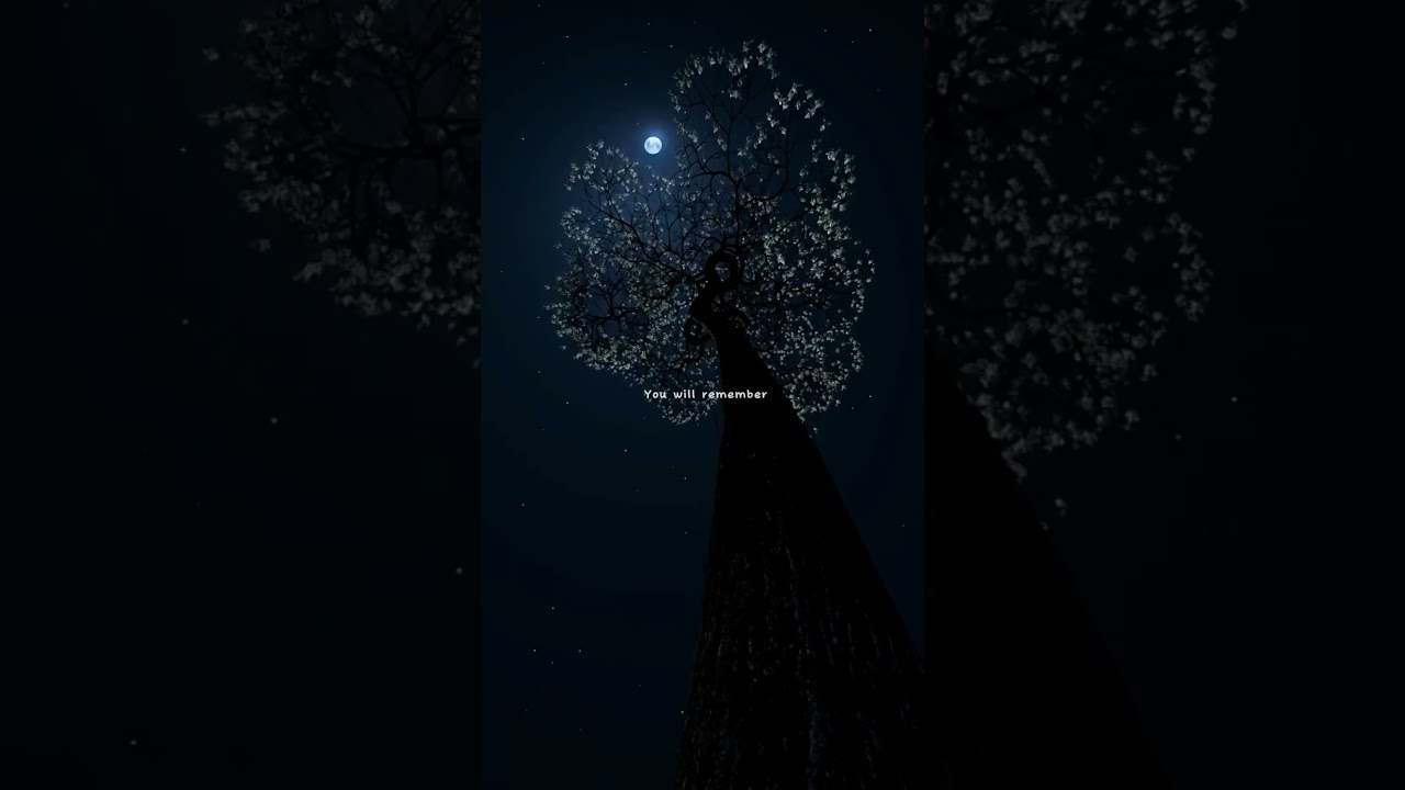 The Nights (He said) - Avicii | lyrics | Aesthetic | WhatsApp Status | 