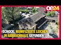 Schock! Mumifizierte Leichen in Abbruchhaus gefunden