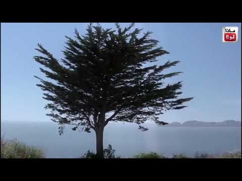 ماذا لو اختفى الغلاف الجوي للأرض