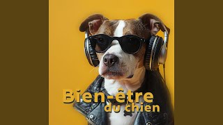 Dog Harmony