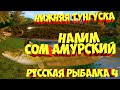 русская рыбалка 4 - Налим Сом Амурский Нижняя Тунгуска - рр4 фарм Алексей Майоров russian fishing 4