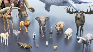 Animal Size Comparison 3D | From Insects to Giant Monster