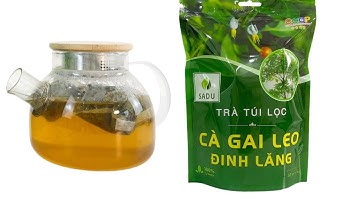 Trà cà gai leo Đinh Lăng túi lọc sadu 250 gram