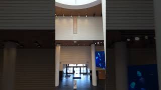 Entering Sf Moma museum art