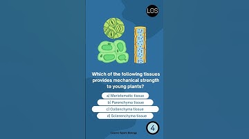 Tissues class 9 MCQ | Tissues MCQ ➤3