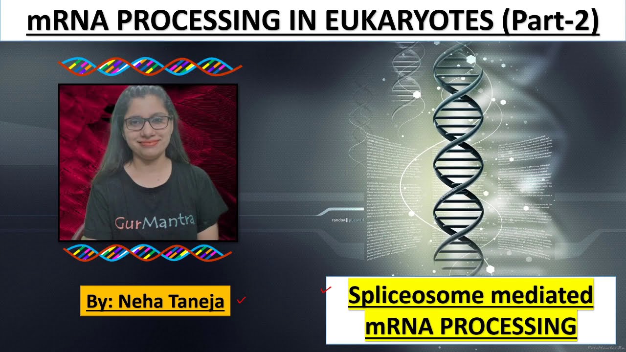 mRNA Processing in Eukaryotes | Part-2 | Spliceosome mediated RNA ...