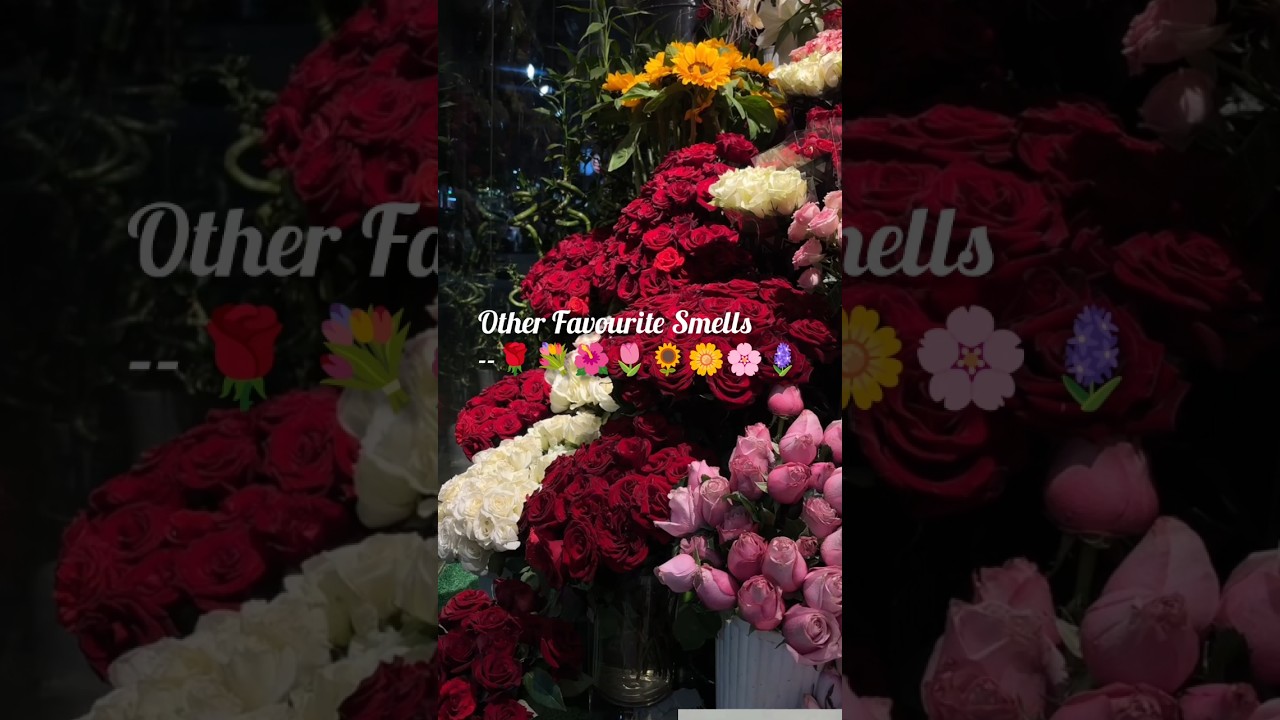 Other Favourite Smells, but my