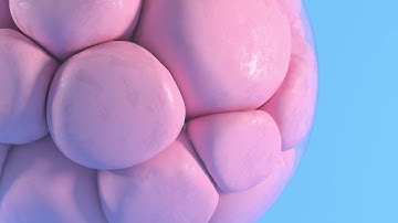 Houdini Vellum Soft Body