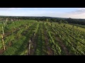 HD Quality Winery July 2015