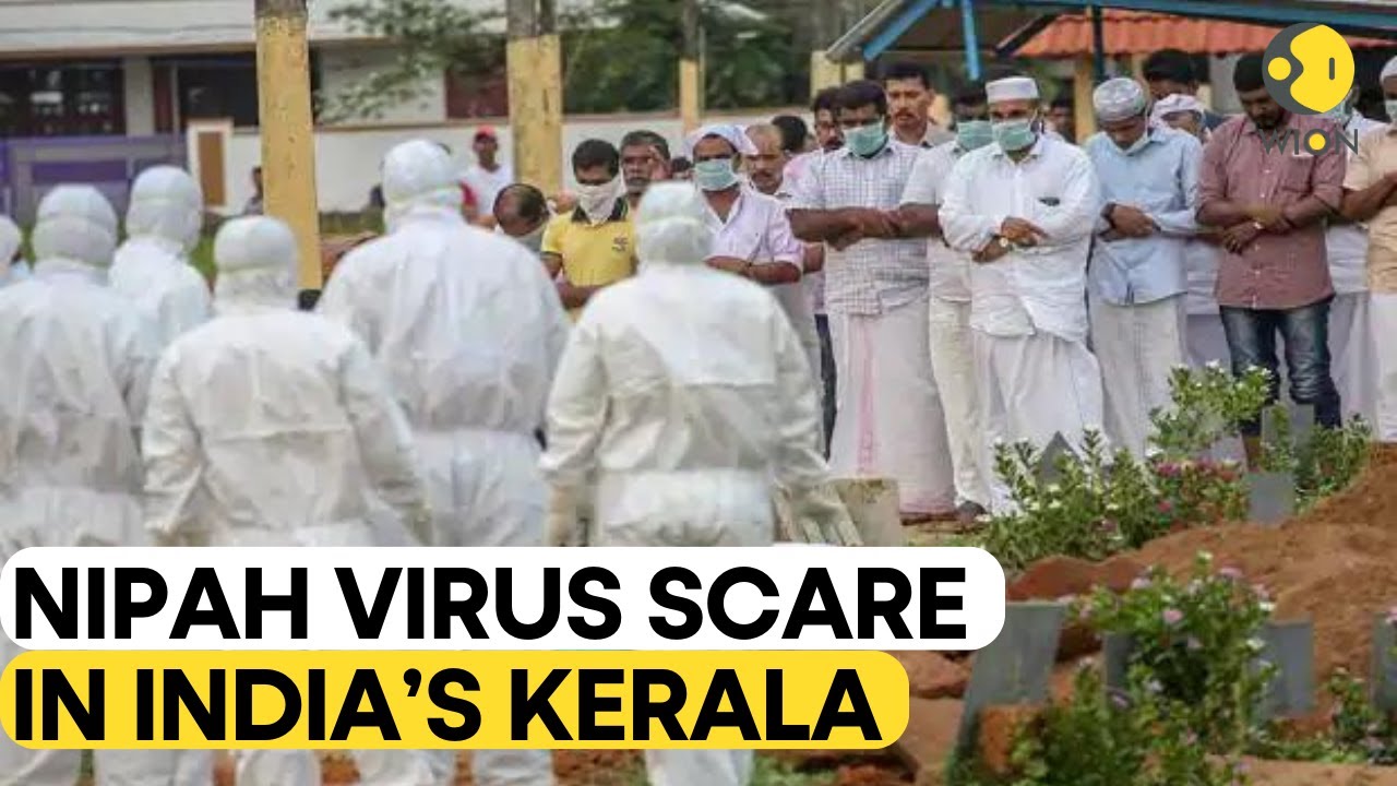 India's Kerala shuts schools, banks to curb deadly Nipah virus | WION Originals