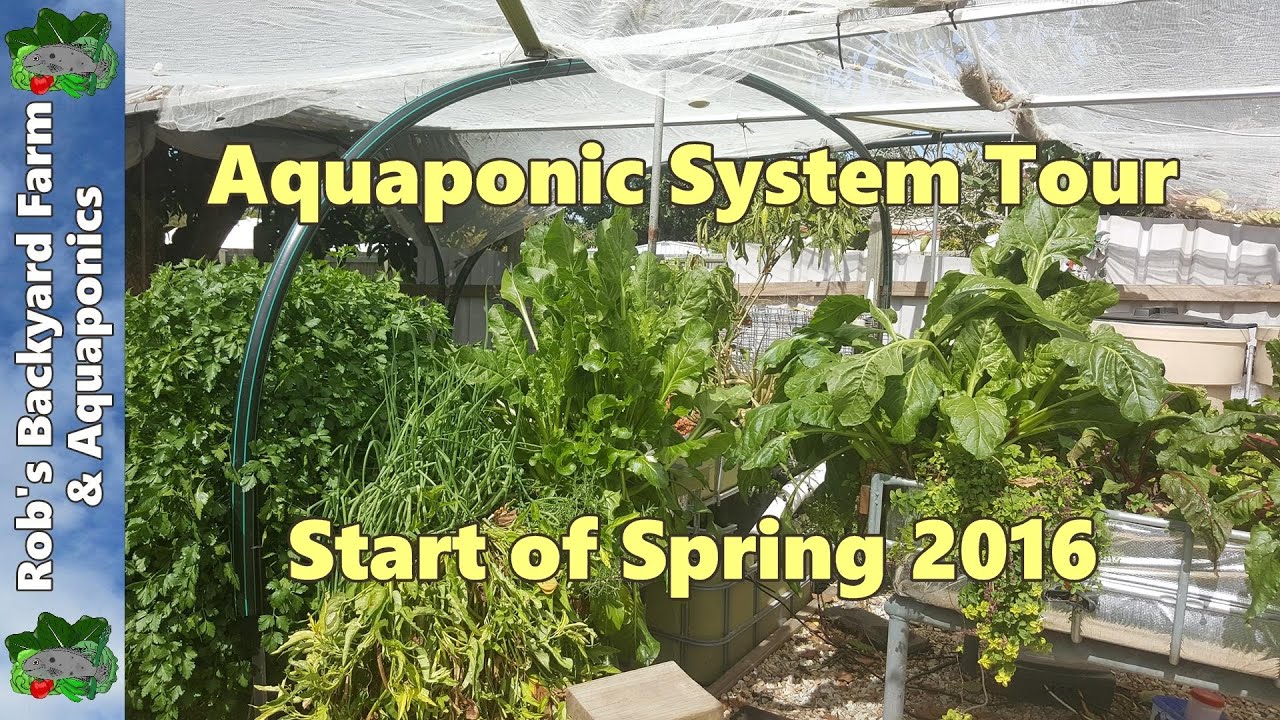 Aquaponic System Tour Start Of Spring 2016 Youtube