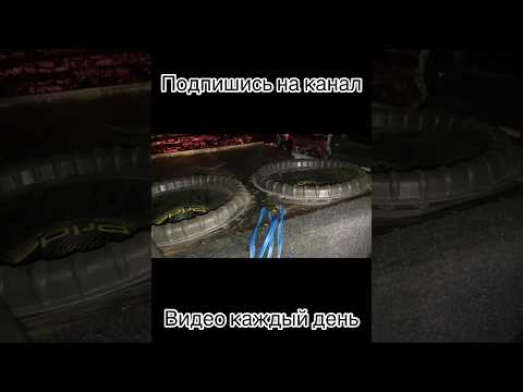 Прайд с 15 в деле #shorts #short #bass #автозвук #автозвукболезнь #музыкавмашину #car #music #музыка