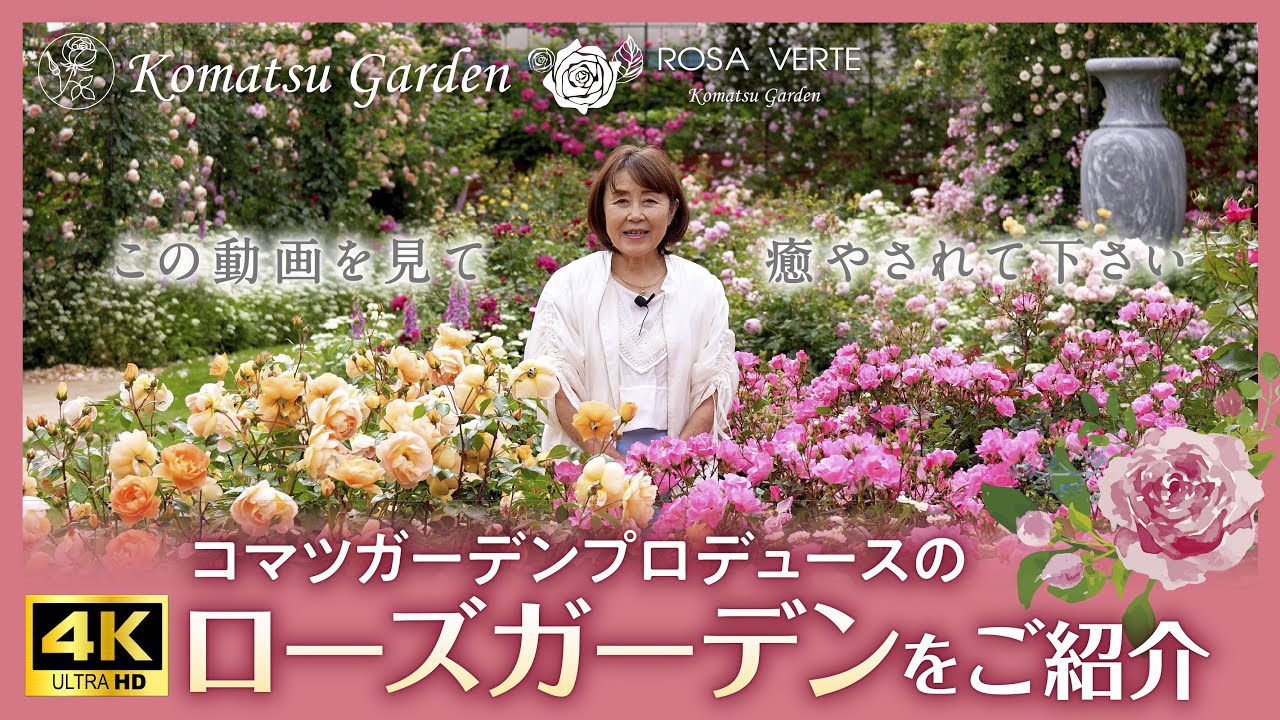 4K】コマツガーデンプロデュース 美しいバラの庭「Rose Garden」 - YouTube