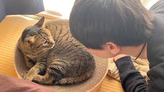 Female cat getting kissed repeatedly by her very cool owner and getting a woman's face.