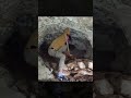 I Found a Hidden Cave No One Was Supposed to Find by @GhaderAmini-zf9ek