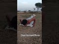 har muskilo se ladna aata hai #gymhomeworkout #gymfitness #gymlovers #desihomegym