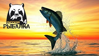 :   4   Russian Fishing 4