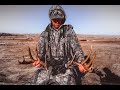 | Alberta Shed Hunting | Epic First Walk Of 2021|