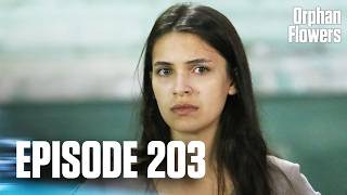 Kırgın Çiçekler I Orphan Flowers - Episode 203