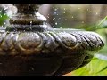 Rambling with Ryan: Add a beautiful hassle to your yard!
