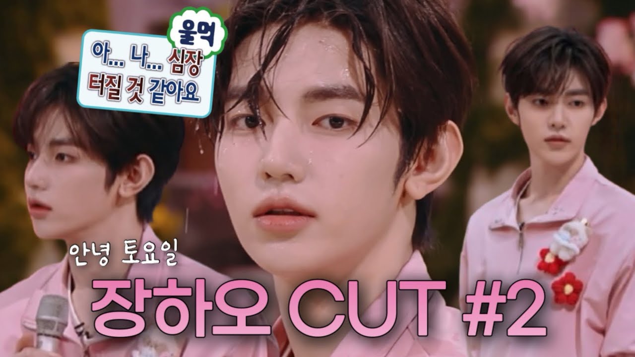 你好, 星期六 (안녕 토요일) 장하오 CUT 2 | 한국어 자막, 오역/의역 o