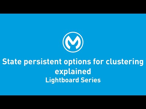 State Persistent Options