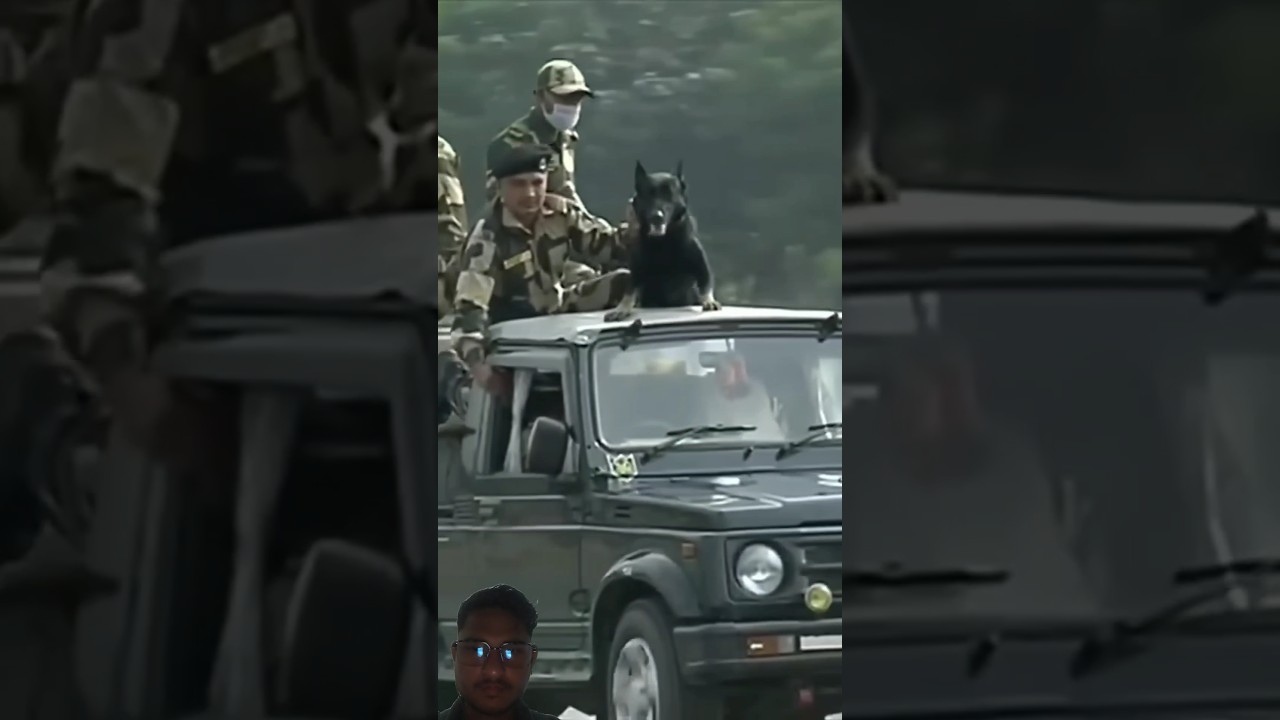 Army swag bsf status 