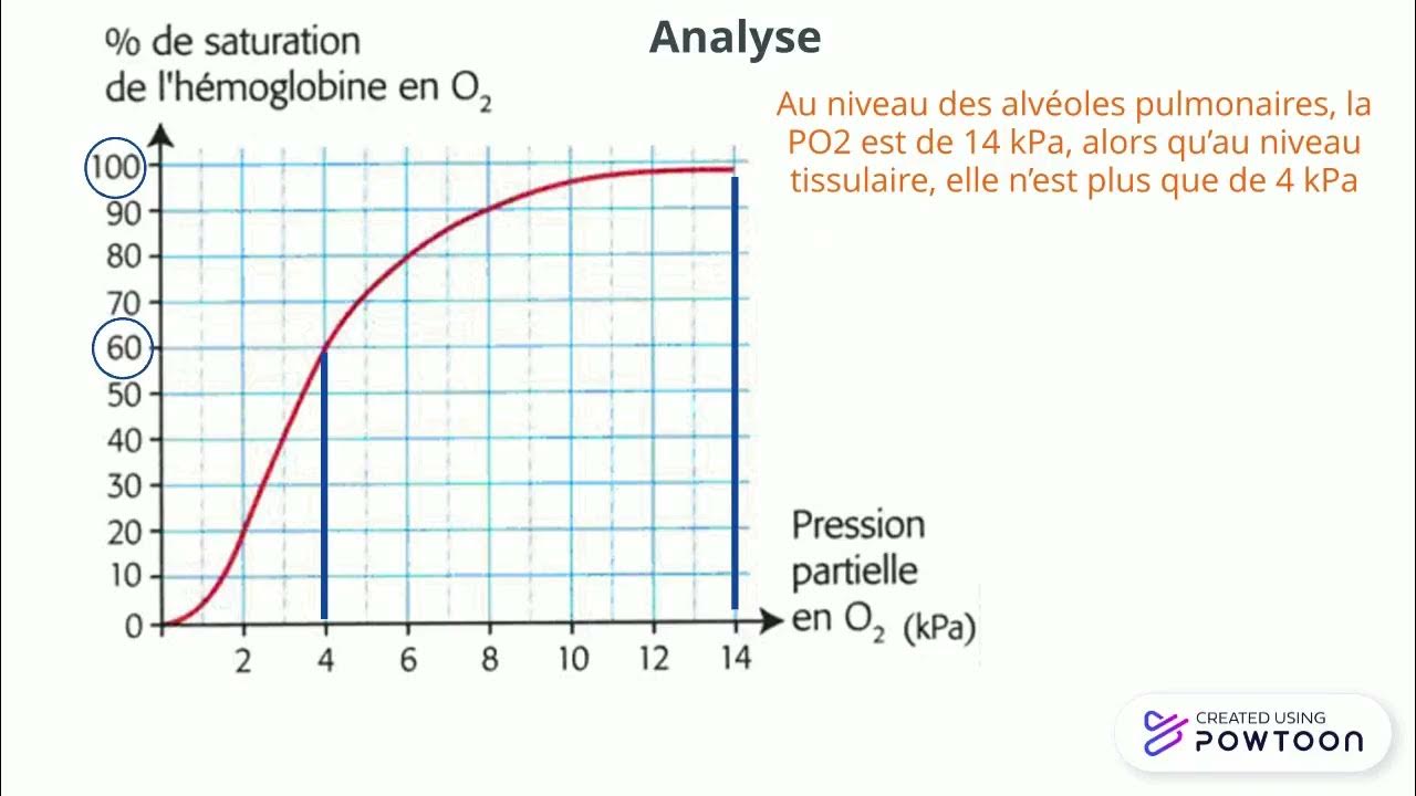 Analyse de la courbe de saturation de l