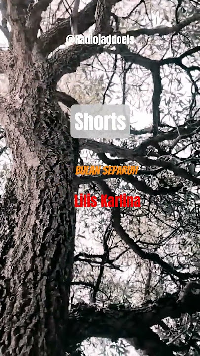Bulan Separuh - Lilis Karlina #shorts #storywa #nostalgia #lagu #dangdut @Radiojaddoels