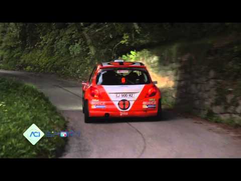 CIR 2015 - RALLY DEL FRIULI - PS4 30/08/1984