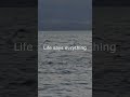 Short video for yt