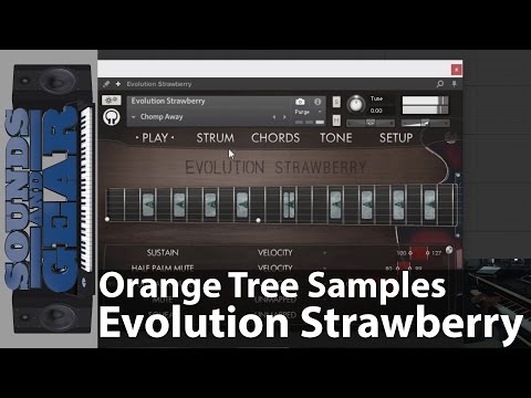 Review: Orange Tree Samples Evolution Strawberry Electric Guitar