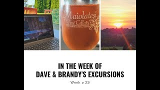 In The Week Of Dave Brandys Excursions Ep 25 2019