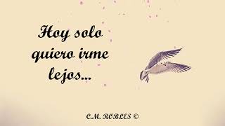 Miniatura de "Hoy solo quiero irme lejos... 🎧"