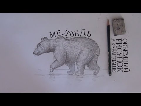 Как нарисовать медведя / How to draw bear