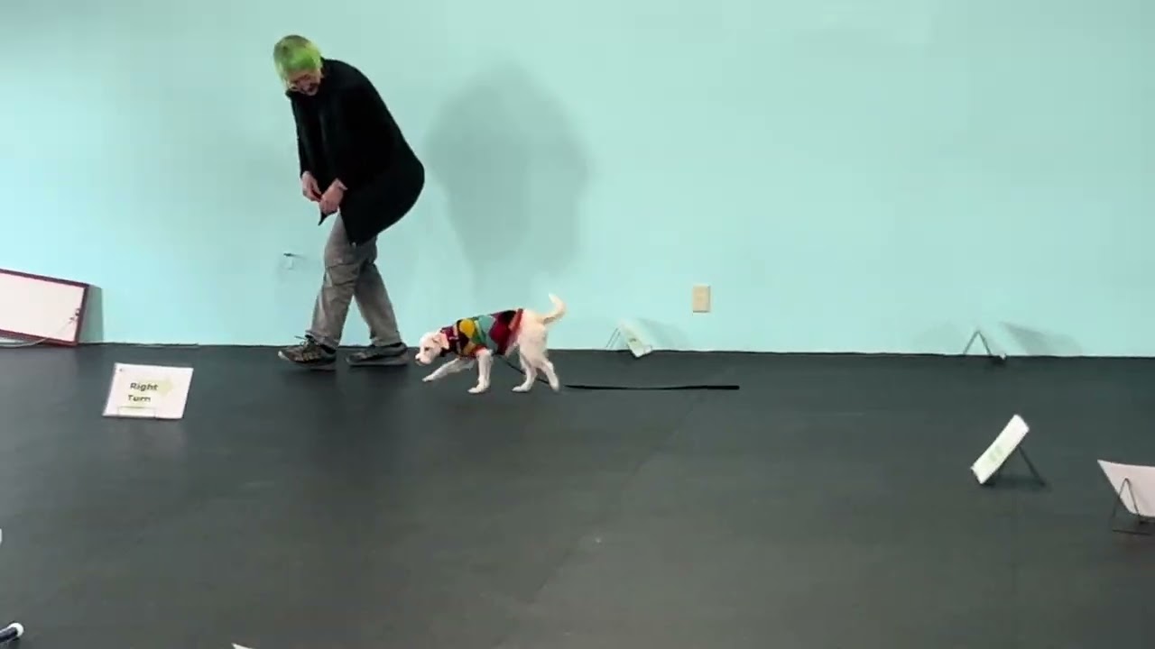 Biscuit Rally Class Feb 9/26