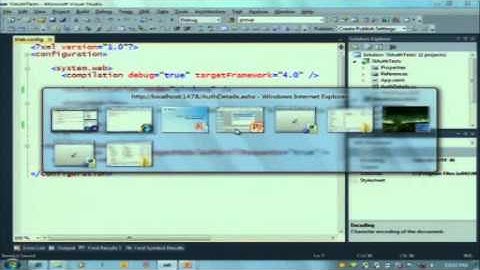 Silverlight 4 Business App OOB