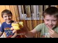 ÐšÐµÐºÑ Ñ‡ÐµÐ»Ð»ÐµÐ½Ð´Ð¶  Ñ ÑÑŽÑ€Ð¿Ñ€Ð¸Ð·Ð°Ð¼Ð¸