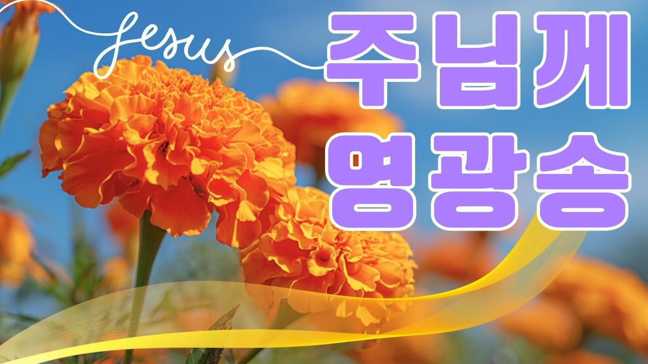 아침에듣는 아름다운 찬양 💛 하나님의 축복이 가득한 찬양 모음집 💦 따스한 성령님과 함께하는 찬양