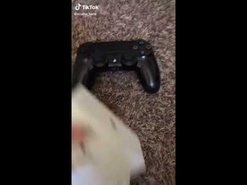 HOW TO CONNECT YOUR AIRPODS TO YOUR PS4