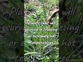 Plants that survive freezing/extremely hot temperatures #frozen  #health #weather